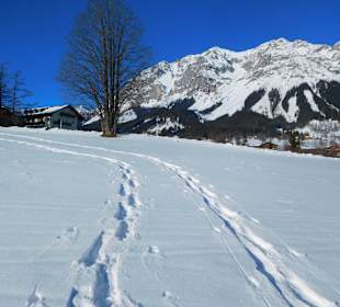 Wandern Ramsau am Dachstein