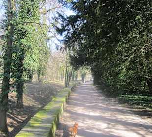 Der Botanische Garten im März 14