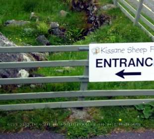 Wegweiser an der Straße zur Kissane Sheep Farm