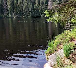 Mummelsee
