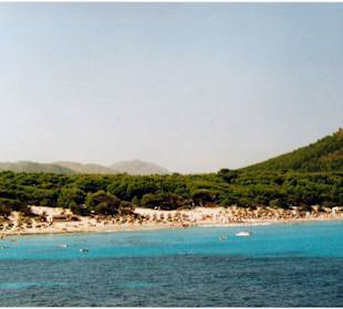 Blick auf die Cala Agulla