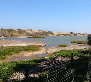 Naturschutzgebiet von Maspalomas