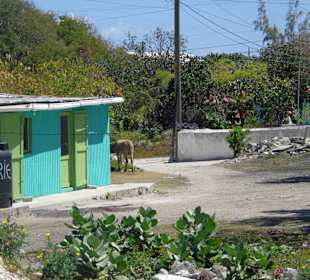 Eindrücke während der Fahrt