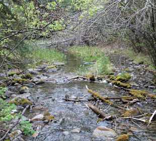 ....und ihren Zuläufen..