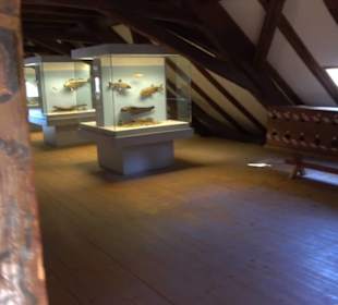 Natur- und Jagdmuseum