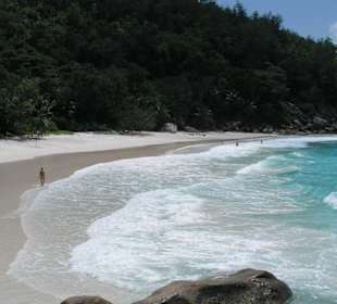 Strand, Anse Georgette, Praslin, Seychellen