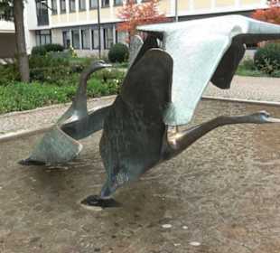 Schwanenbrunnen