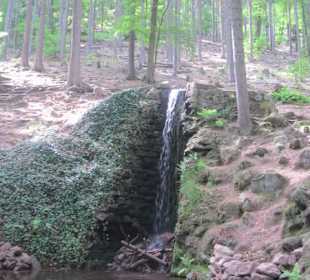 Wasserfall am Hilschweiher
