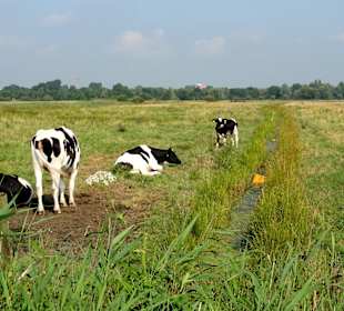 Impressionen aus dem Park Links der Weser