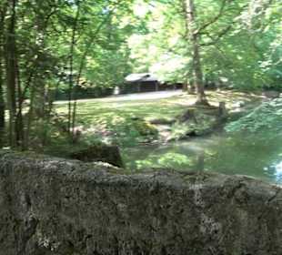 Tierpark Hellabrunn - Amerika