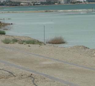 Już widać oleistość