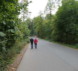 Fußweg zur Bastei