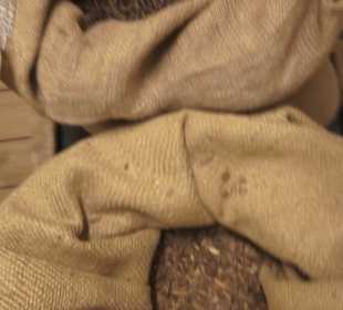 Spicy's Gewürzmuseum