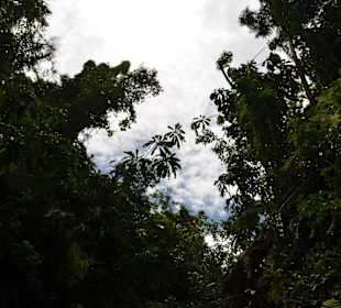 Водопад Соммерсет (Sommerset Falls)