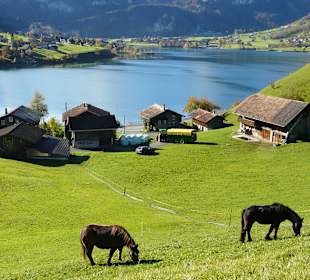 Wandern Lungern
