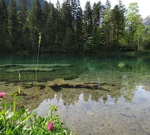 Wanderausflug in der Nähe ( Christlessee )