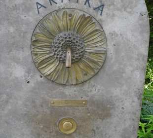Brunnen mit Arnika wasser