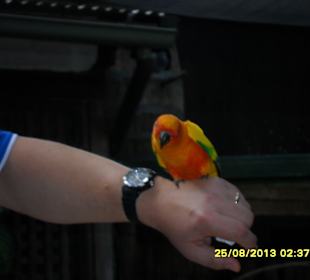 Birdworld Kuranda