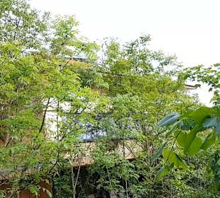 Wellnessbereich Mawell Resort 