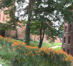 Meeresmuseum Stralsund