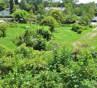 Impressionen aus dem Trostberger Rosengarten