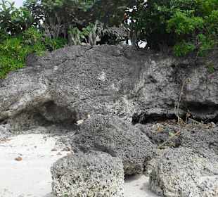 Zwischen Panagsama und White Beach