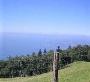 Blick vom Pfänder auf den Bodensee