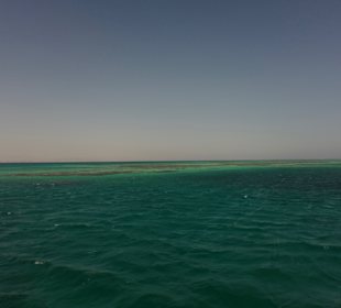 Red Sea