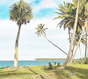 Strand der Laguna del Limon