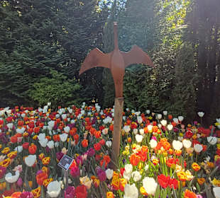 Keukenhof