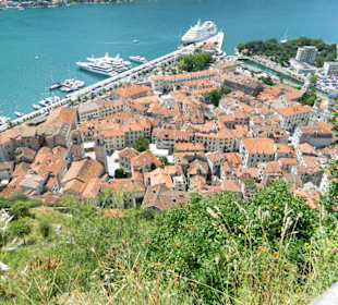 Kotor