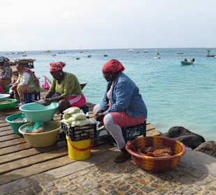 Fischsteg Santa Maria, hier gibt es alles