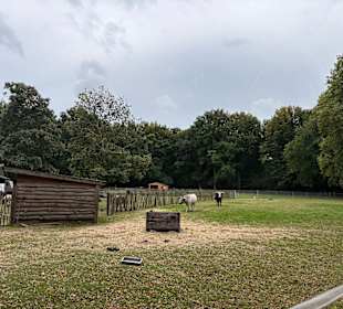 Steinerbos Belevenispark