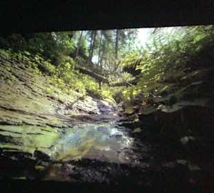 Naturparkzentrum Ruhestein