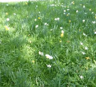 Bummel durch die östliche Allee