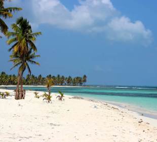 Saona VIP Ausflug mit Seavies