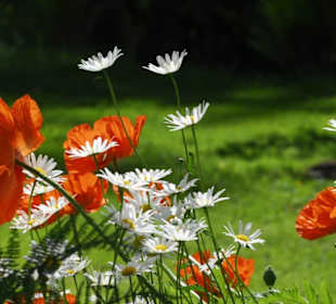 Swedish Garden