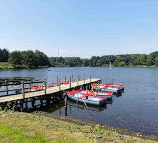 Der Teich im Gesundheitspark
