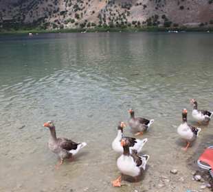 Озеро Курнас 