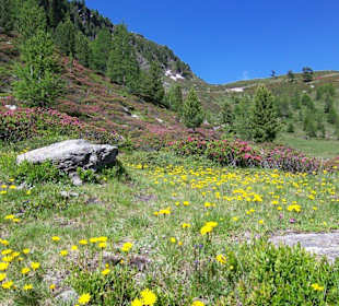 Weg zur Zufallhütte