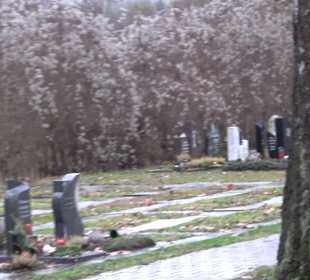 Friedhof Mittelstadt