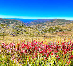 Swartberg Pass
