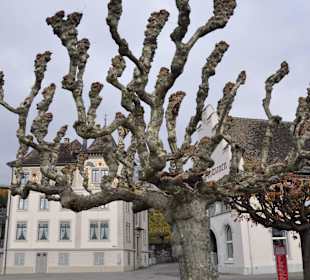 Виды города