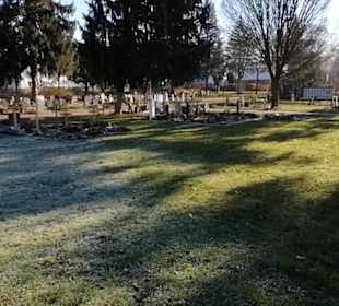Friedhof Neuhausen an der Erms