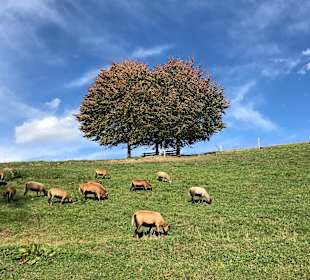 Wandern Berchtesgaden