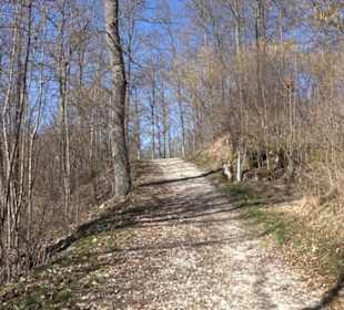 Burgruine Hohenstein