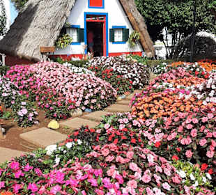 Casas de Colmo / Santana-Häuschen