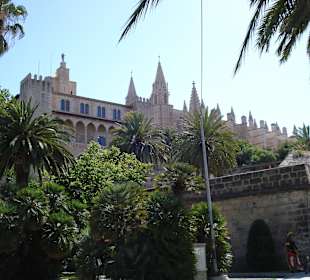Anlage rund um die Kathedrale