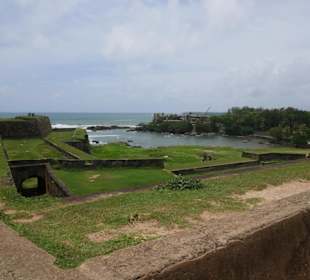 Galle