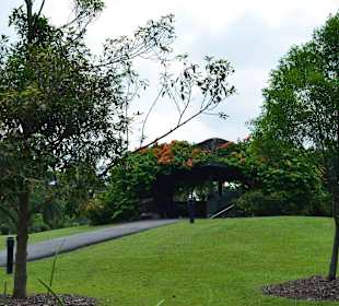 Botanischer Garten Singapur